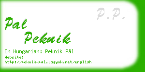 pal peknik business card
