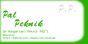 pal peknik business card